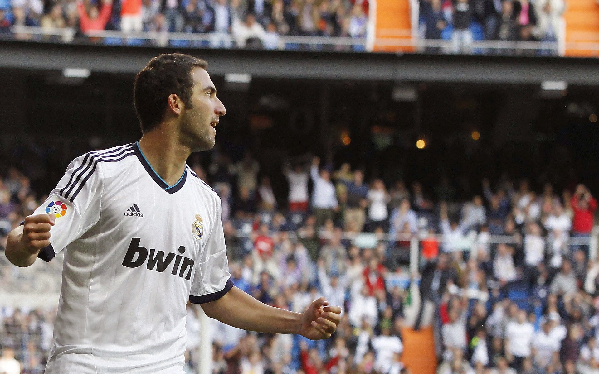 劳塔罗点燃赛场，当厄瓜多尔雄鹰撞碎荷兰郁金香