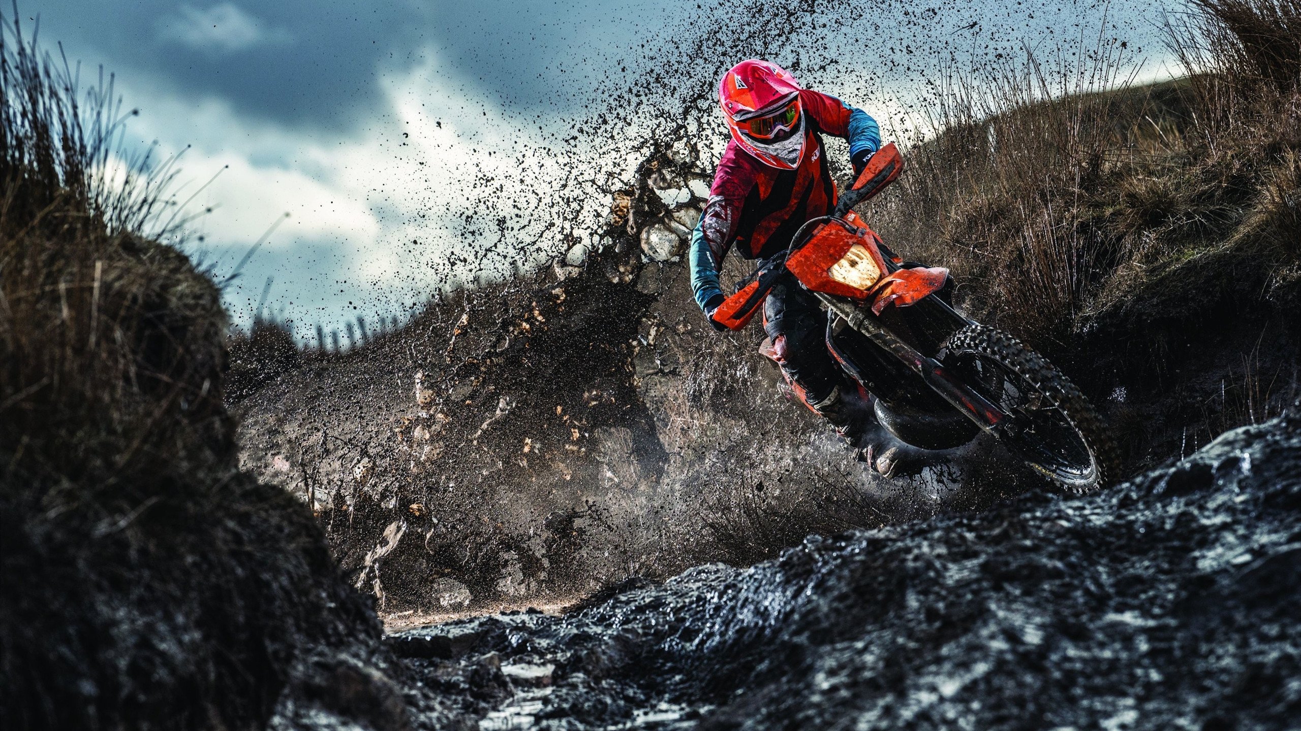 杰伦格林表现堪称教科书,浙江队决胜局带走掘金